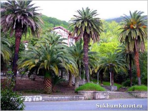 Туризм в Абхазии