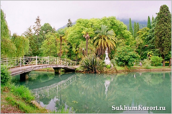 Растительный мир Абхазии