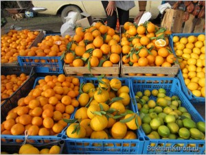 Зимой в Абхазии самые дешевые мандарины и апельсины